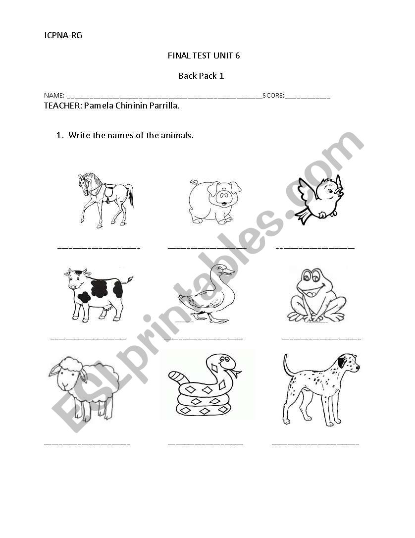 Farm quiz worksheet