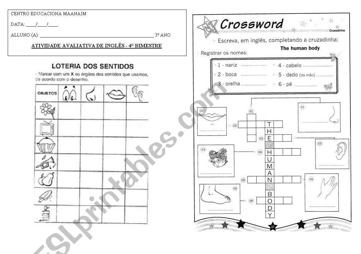 human body worksheet