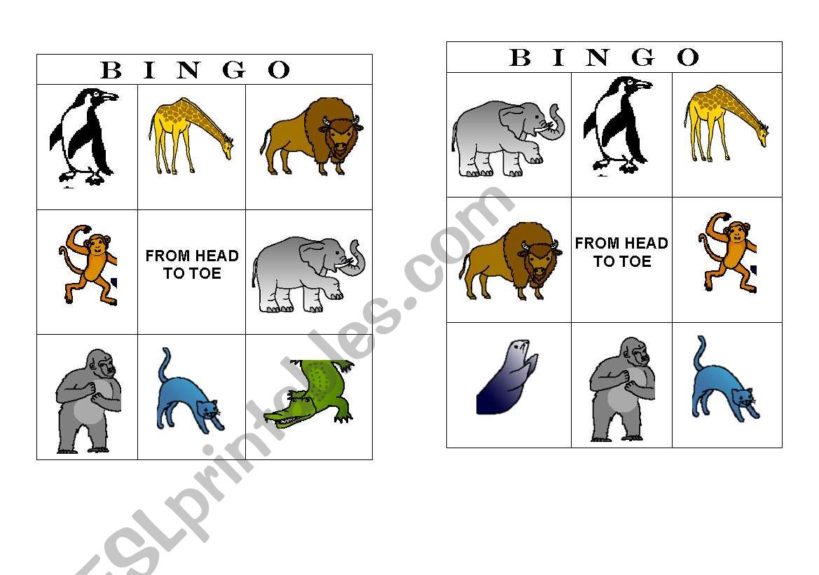 Bingo animals- From head to toe