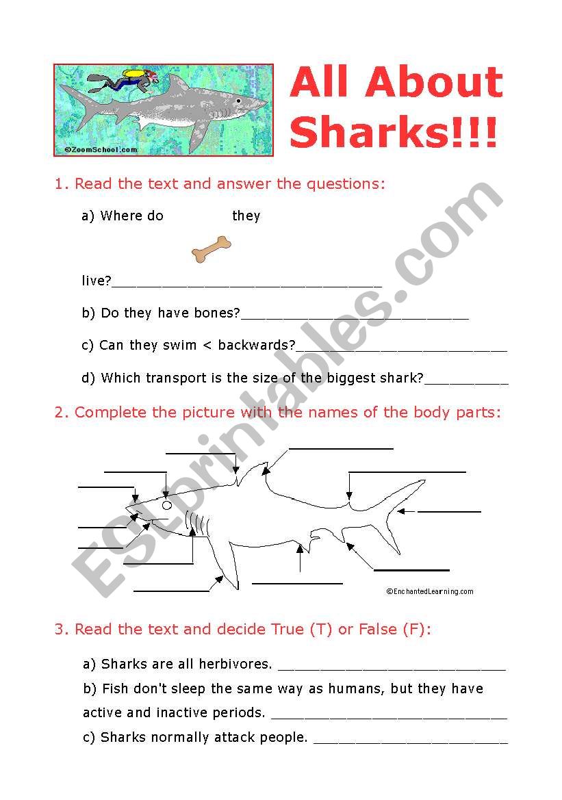 All about sharks (internet activity)