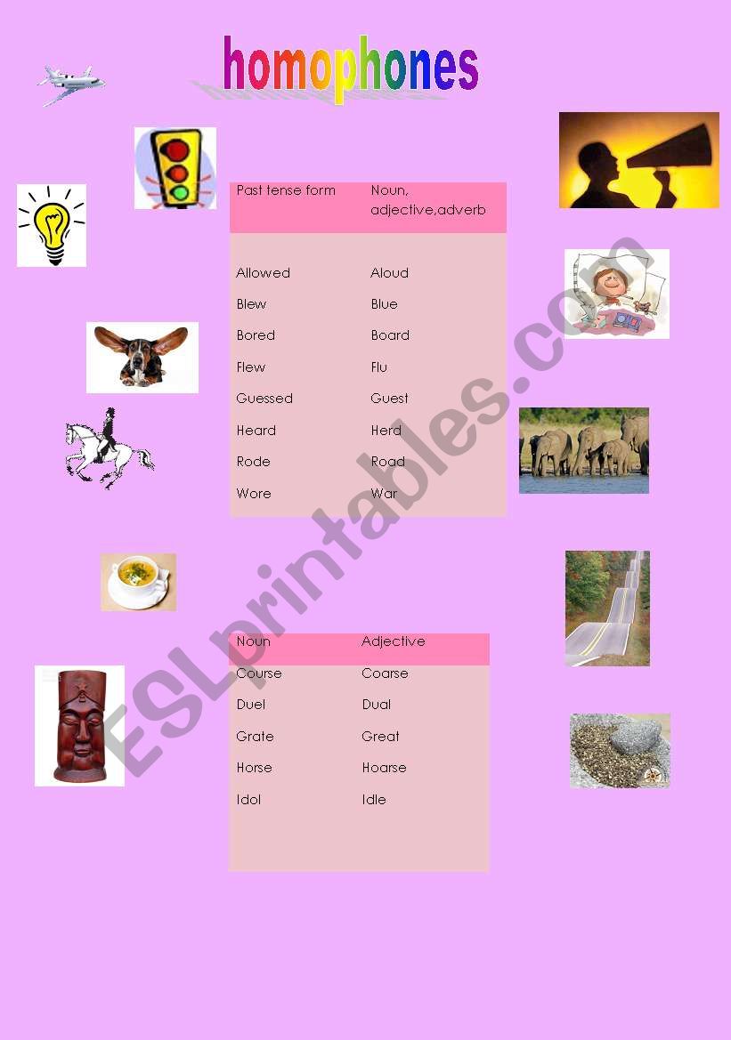 Homophones worksheet