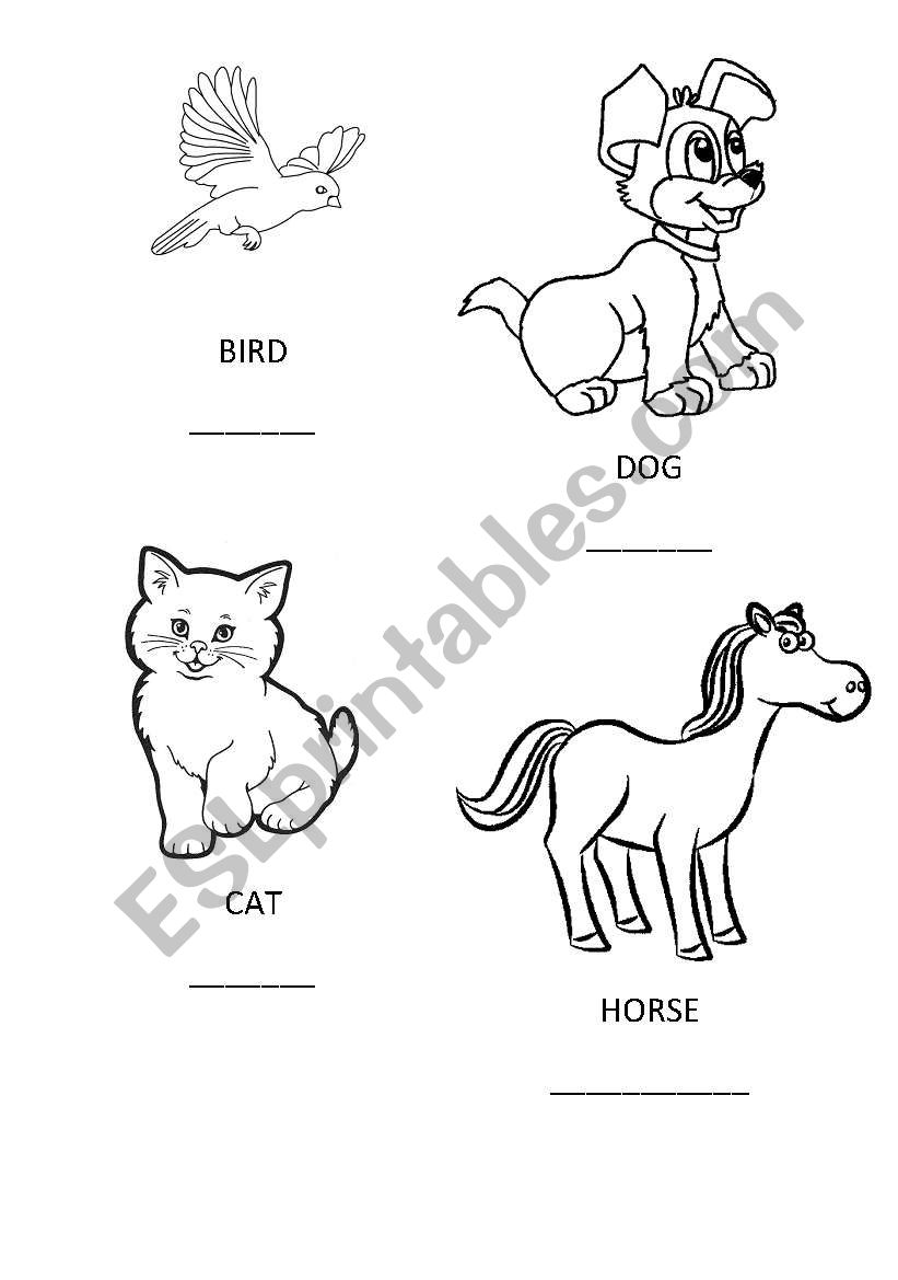 animals worksheet