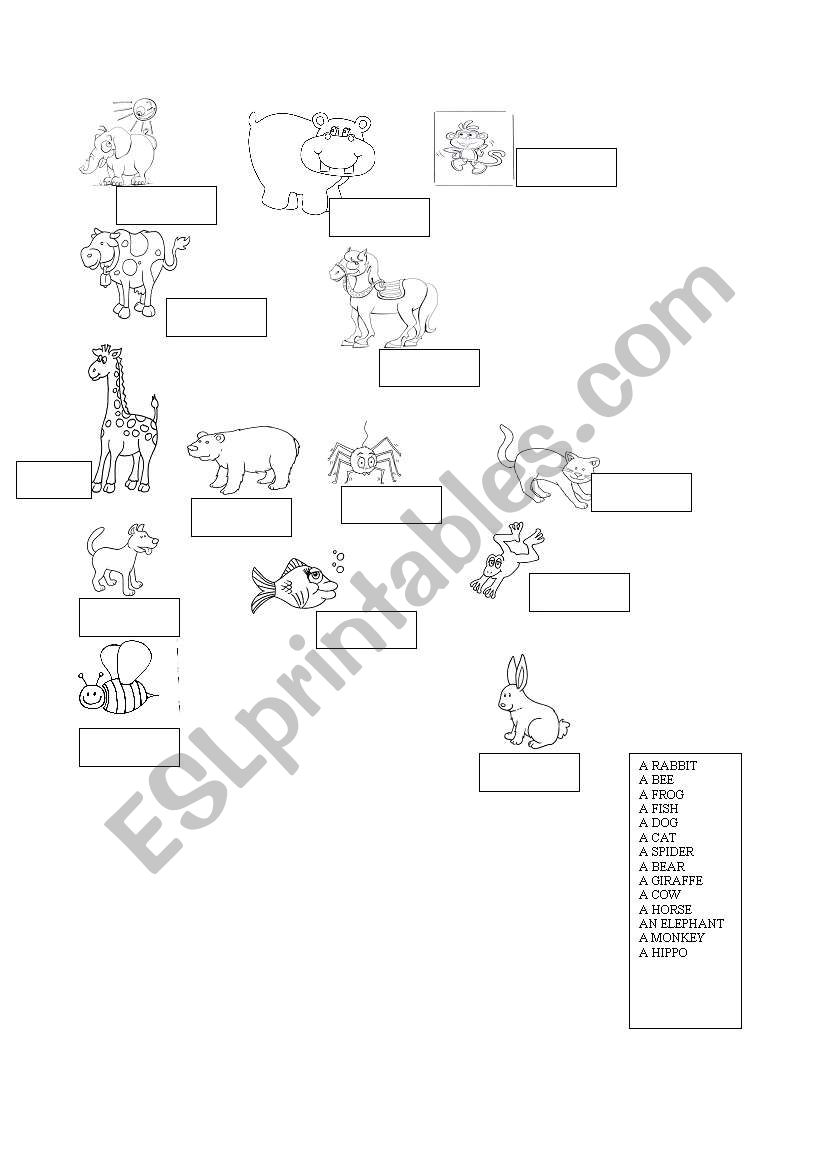 ANIMALS FUN worksheet