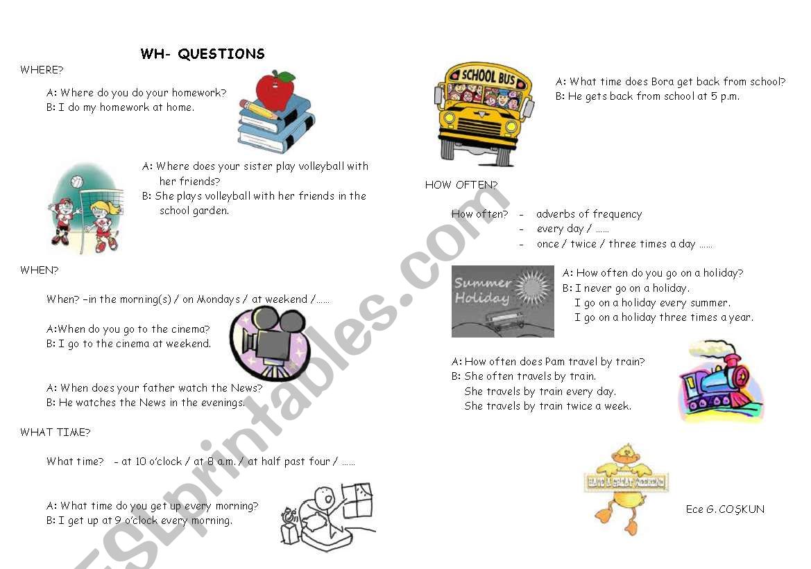 wh- questions  worksheet