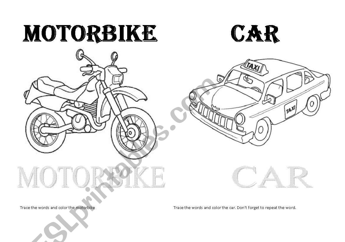 Transport worksheet
