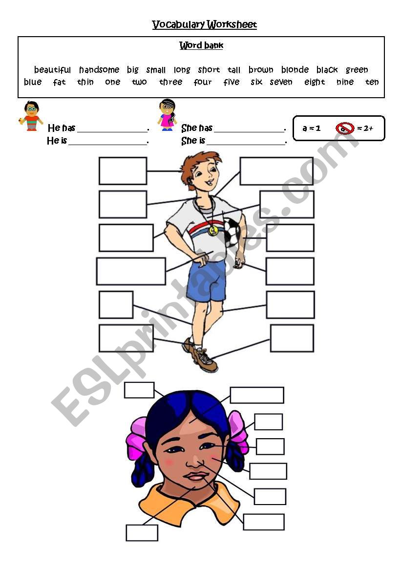 Describing a friend. worksheet