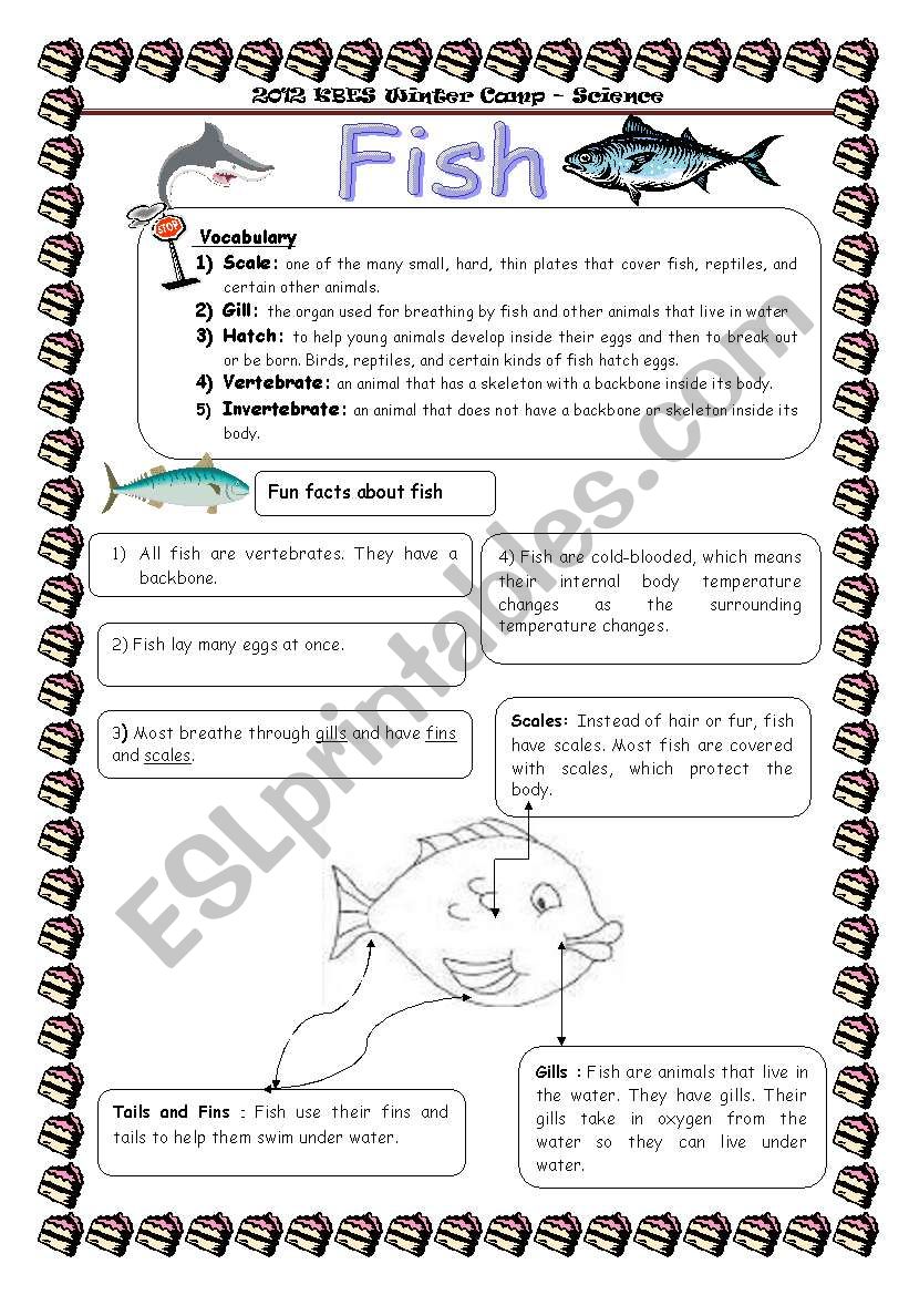 fish worksheet