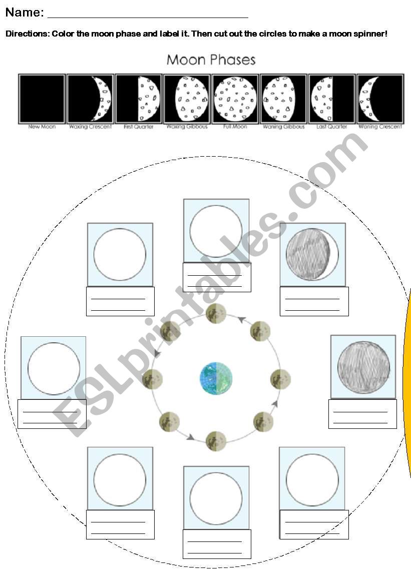 Phases of the Moon Spinner worksheet