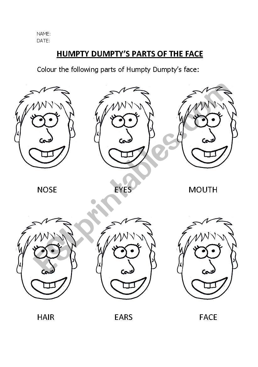 Parts of the face worksheet