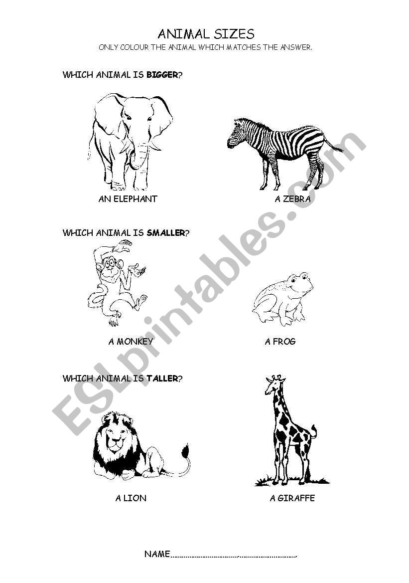 Animals worksheet