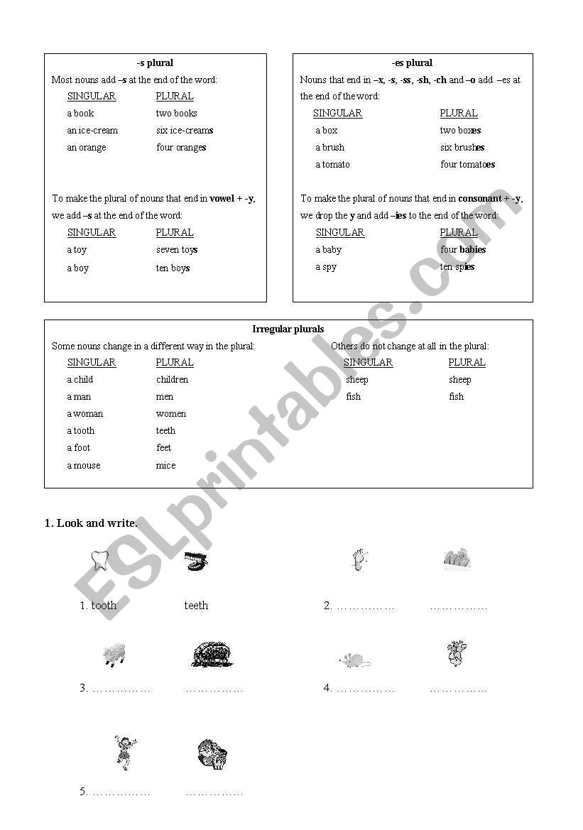Plurals in Enlgish 1 worksheet