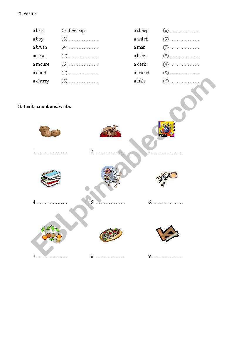 Plurals in English 2 worksheet
