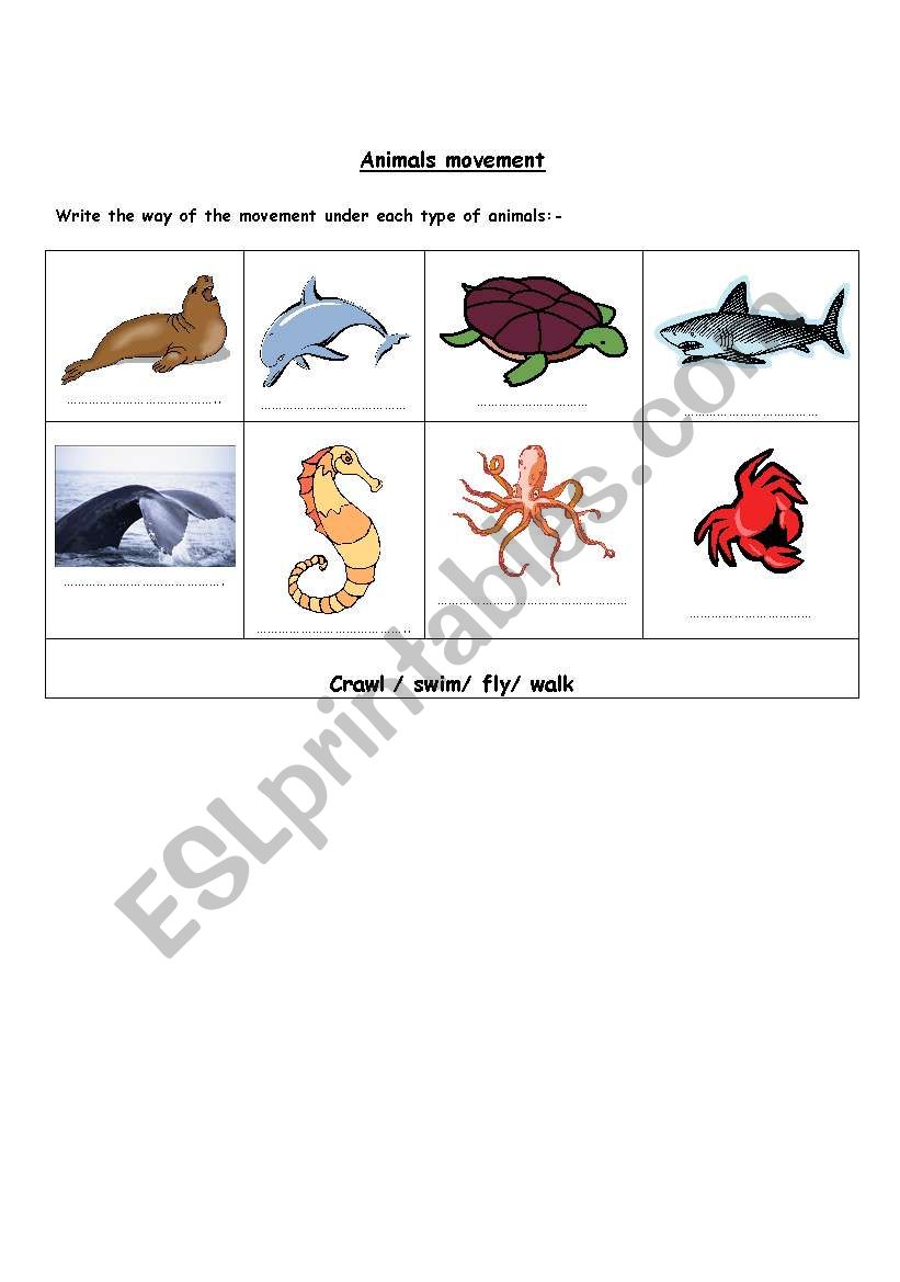 the movements of animals  worksheet