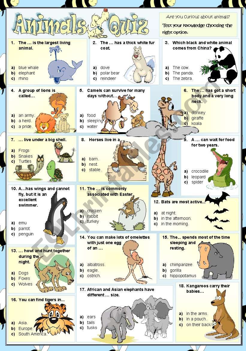 Animals Quiz - ESL worksheet by mariaolimpia