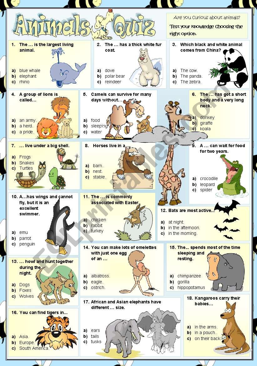 Animals Quiz worksheet