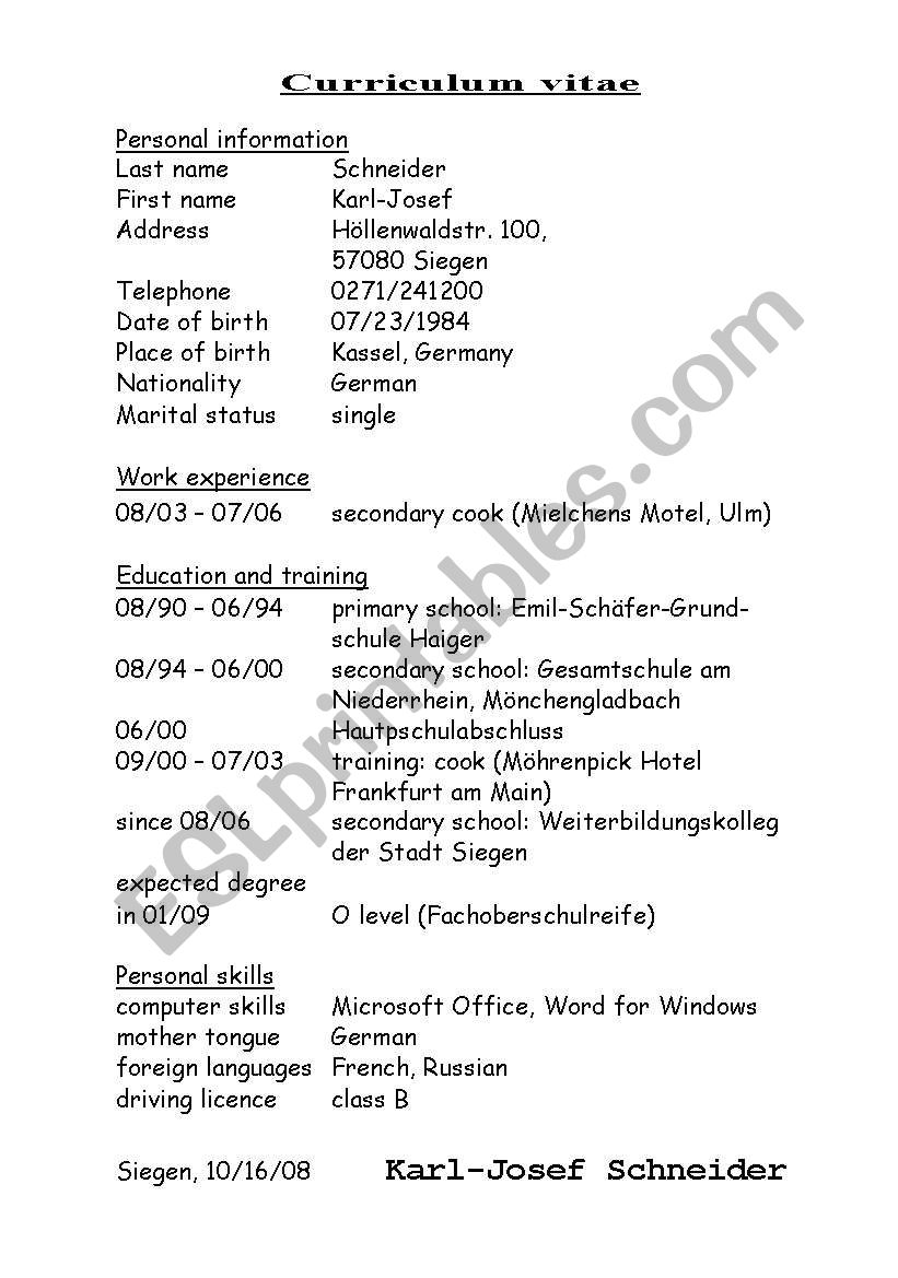 Curriculum vitae worksheet