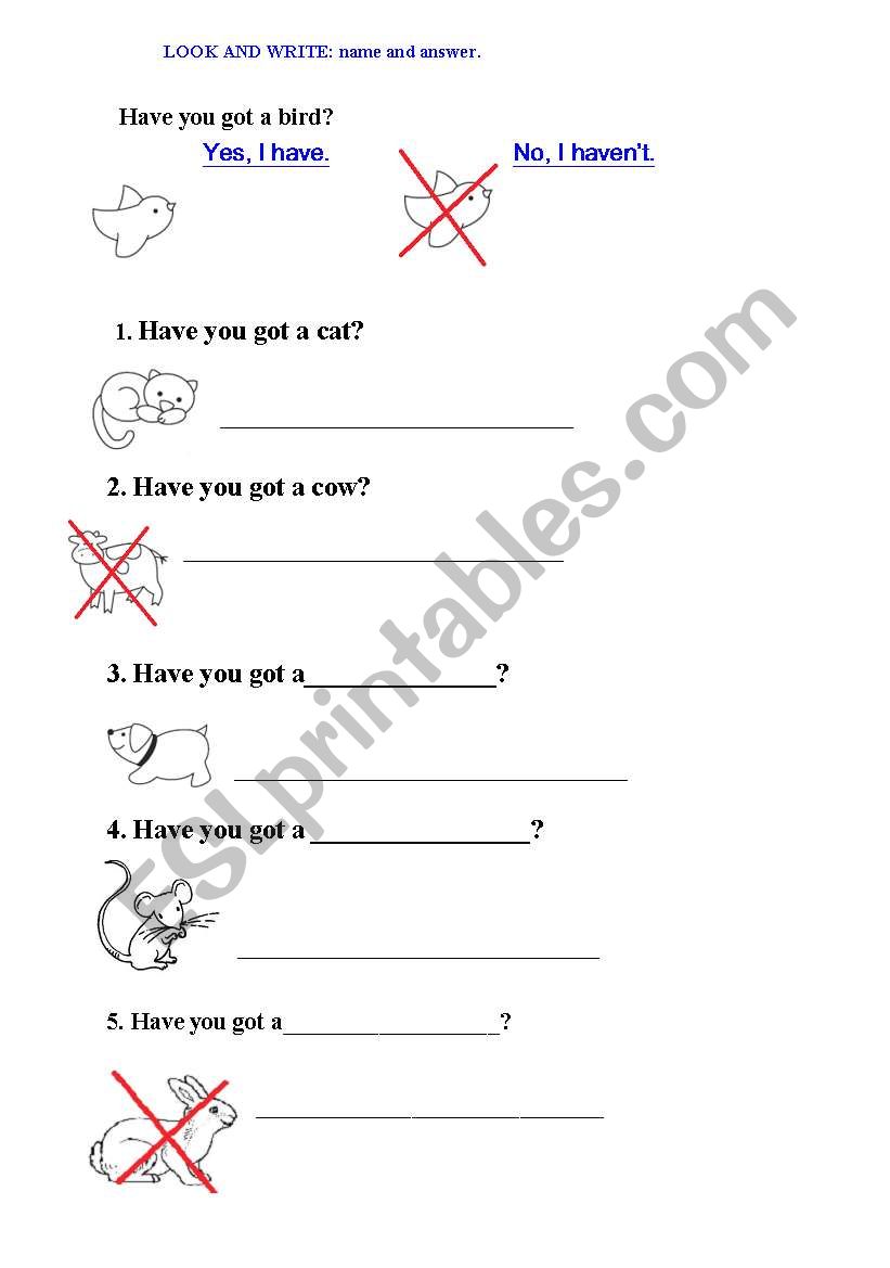 Have you got a dog? worksheet