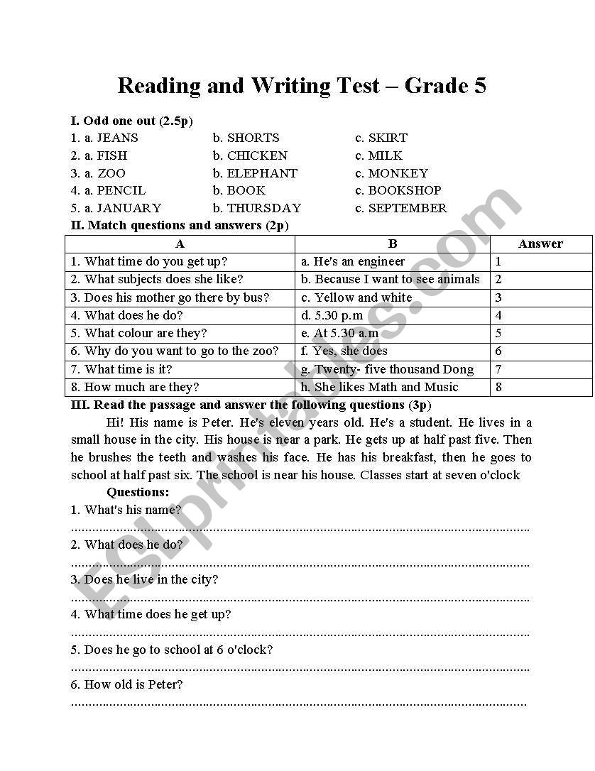 test for grade 5 worksheet