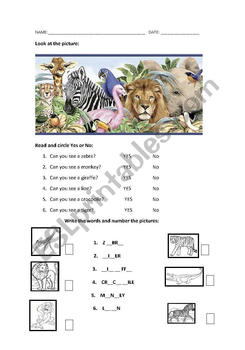 Wild Animals worksheet