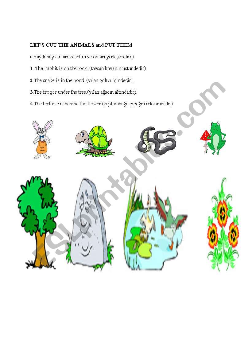 preposition for kids worksheet