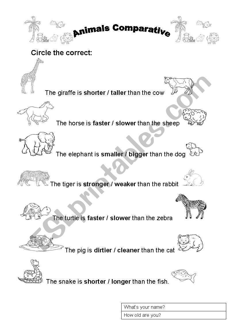 Animals comparative worksheet