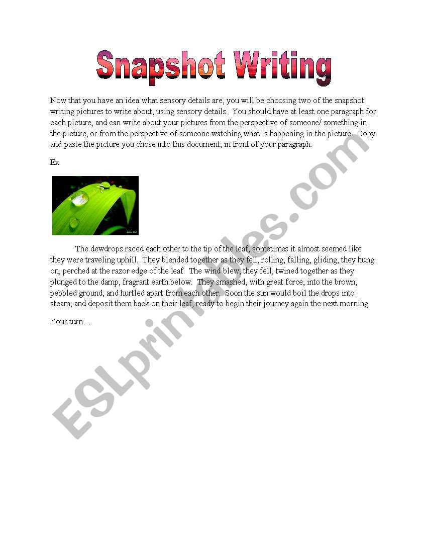 Snapshot Writing worksheet