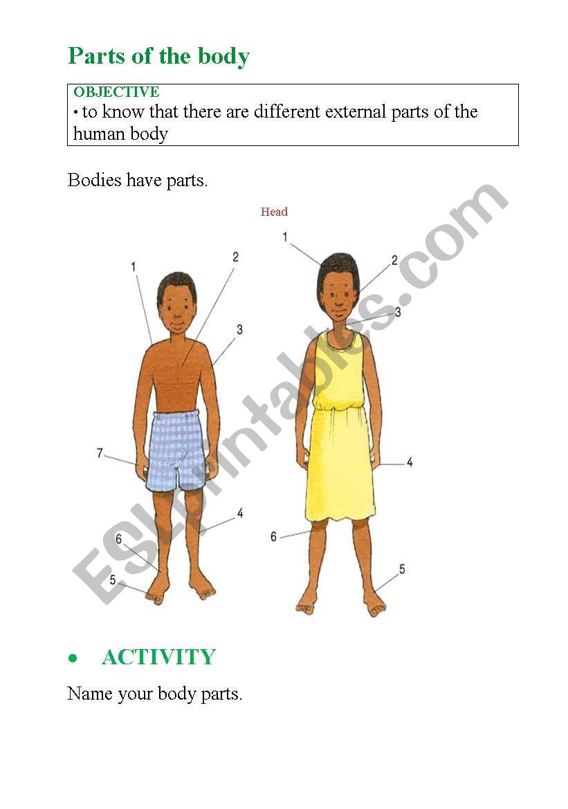Body parts worksheet