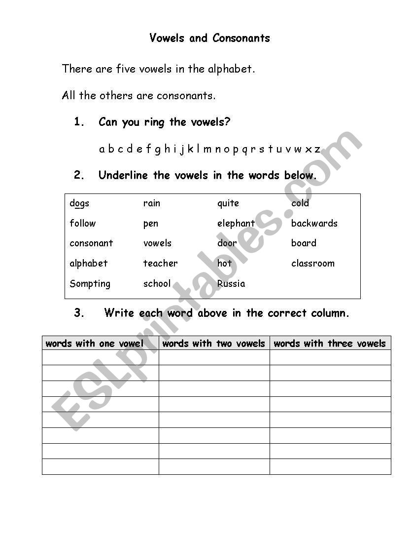 A Vowel and Consonant Worksheet