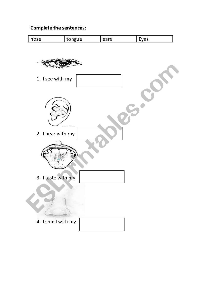 social studies (senses - clothes - things in the house)