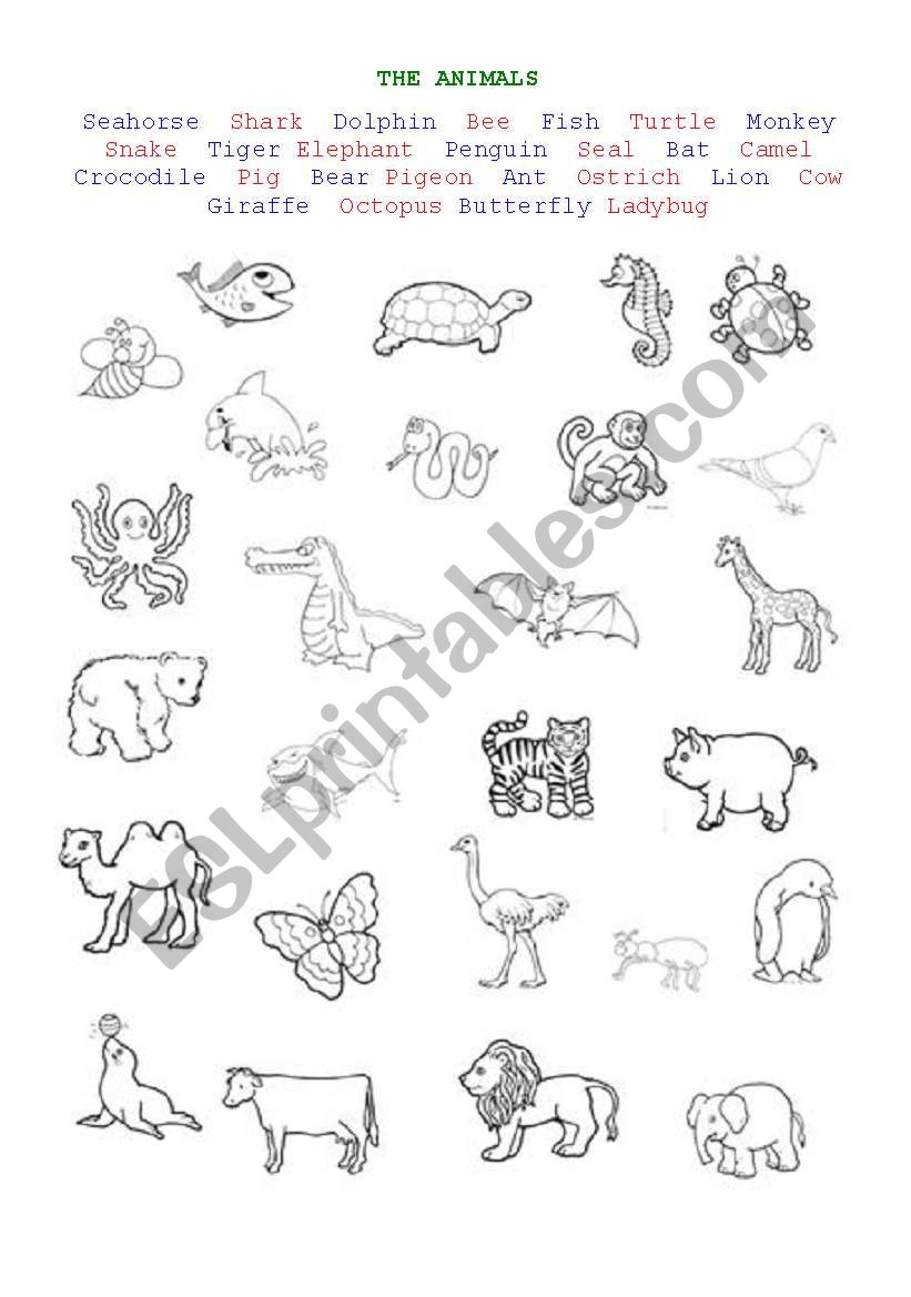 animals worksheet