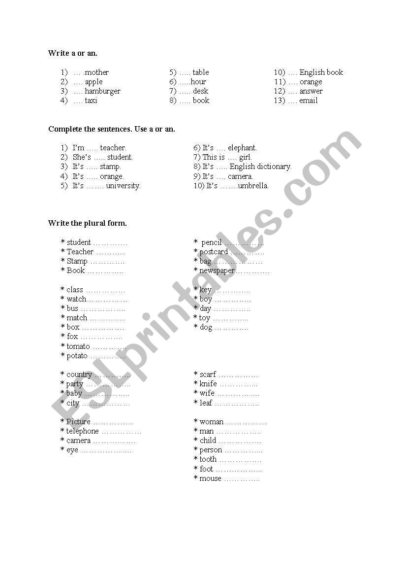 a or an and plurals worksheet
