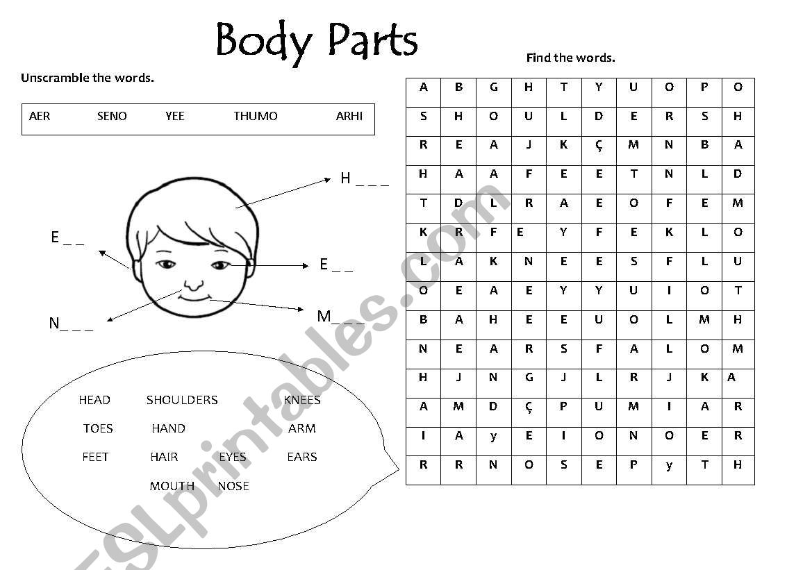 body worksheet