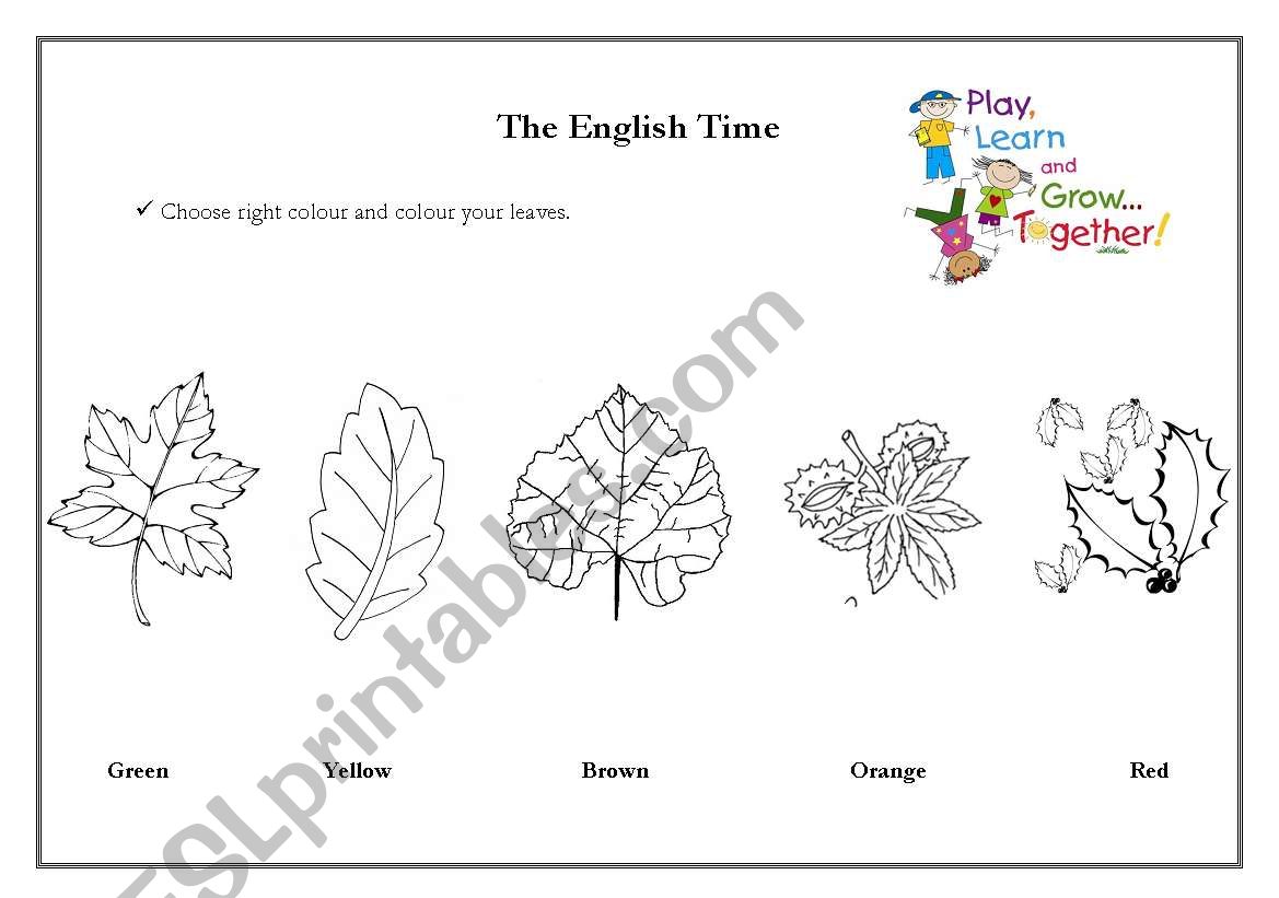 Colours worksheet