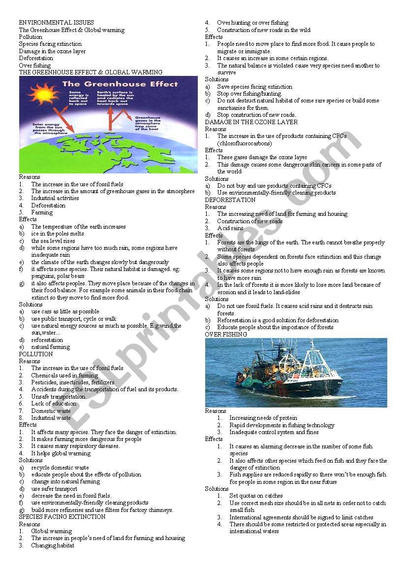 Environmental Issues worksheet