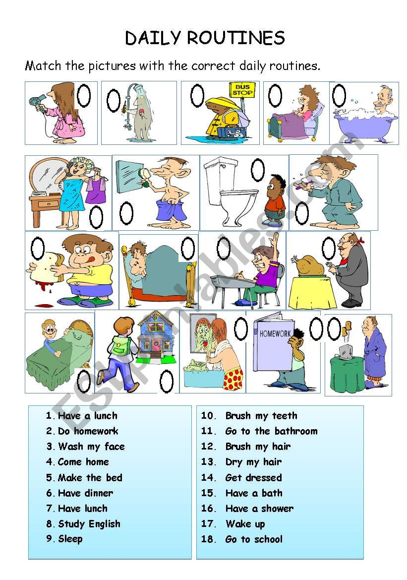 Daily Routines  worksheet