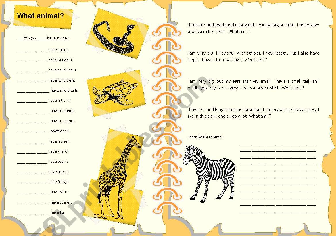 Animal Descriptions worksheet