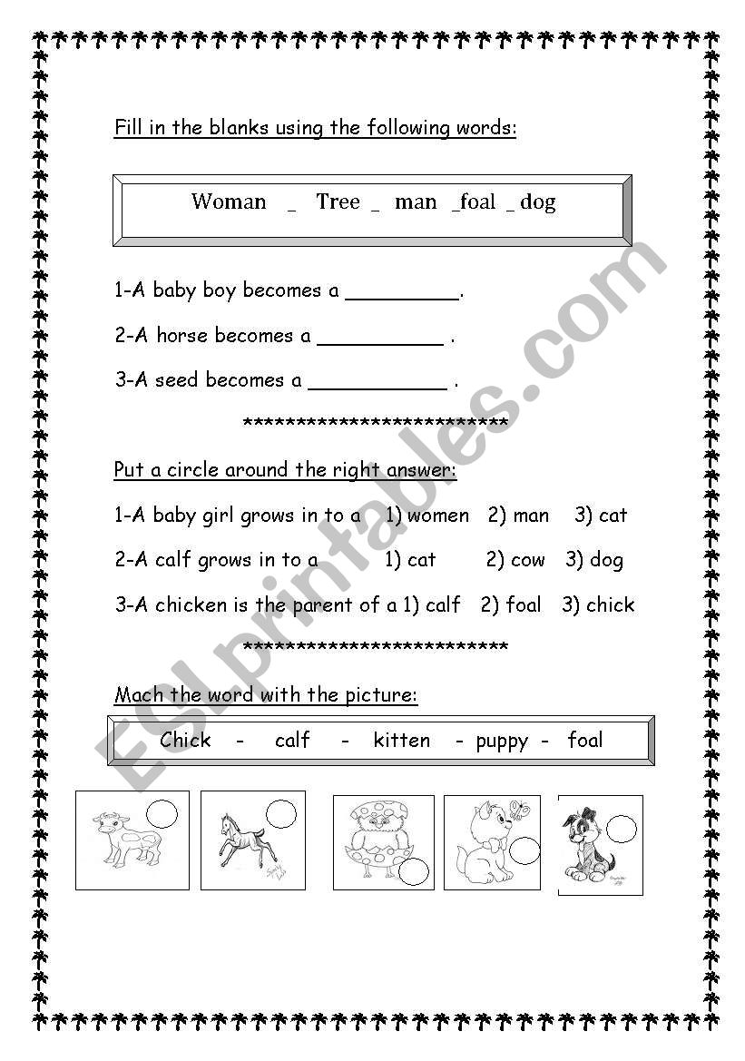 animals and their babies worksheet