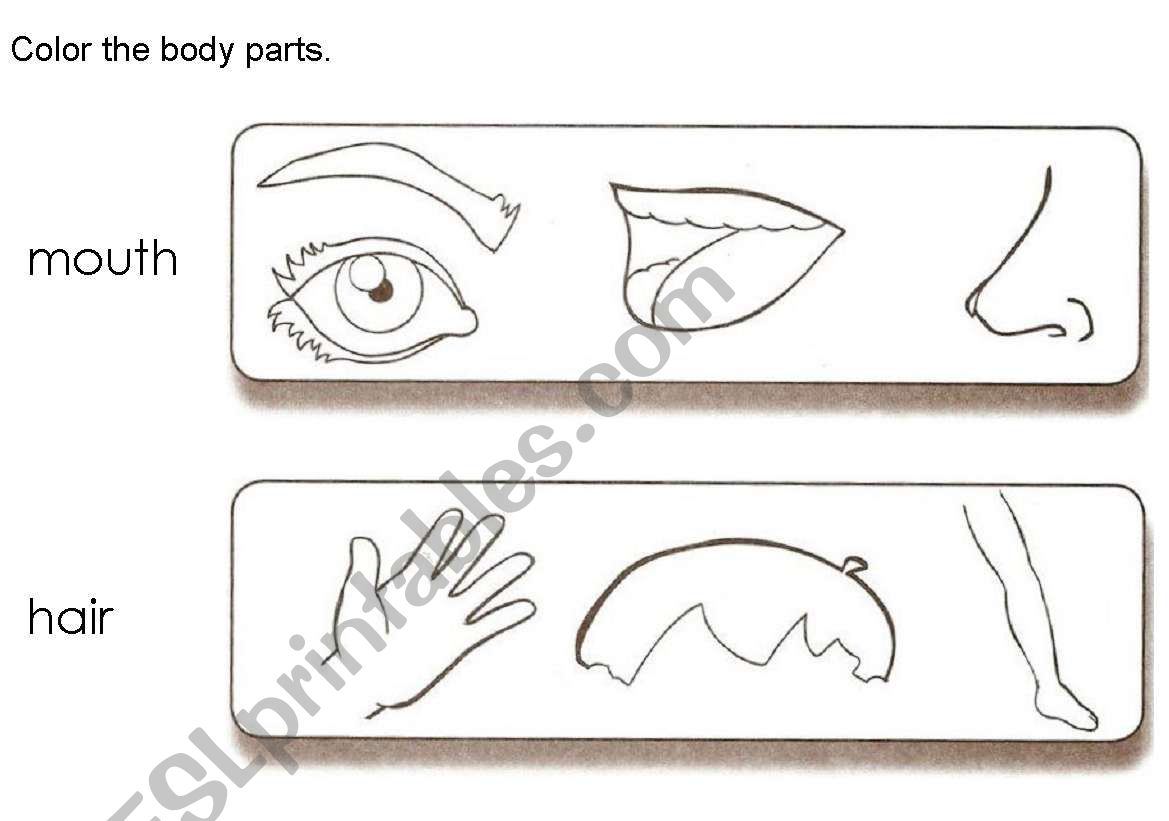 Color the body parts worksheet