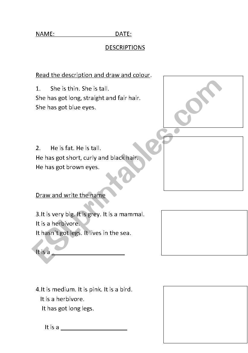 DESCRIPTION worksheet