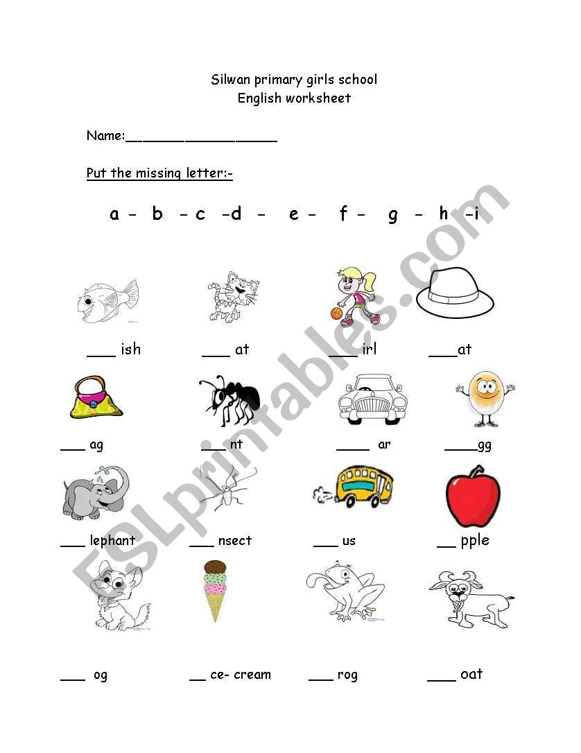 basic worksheet worksheet