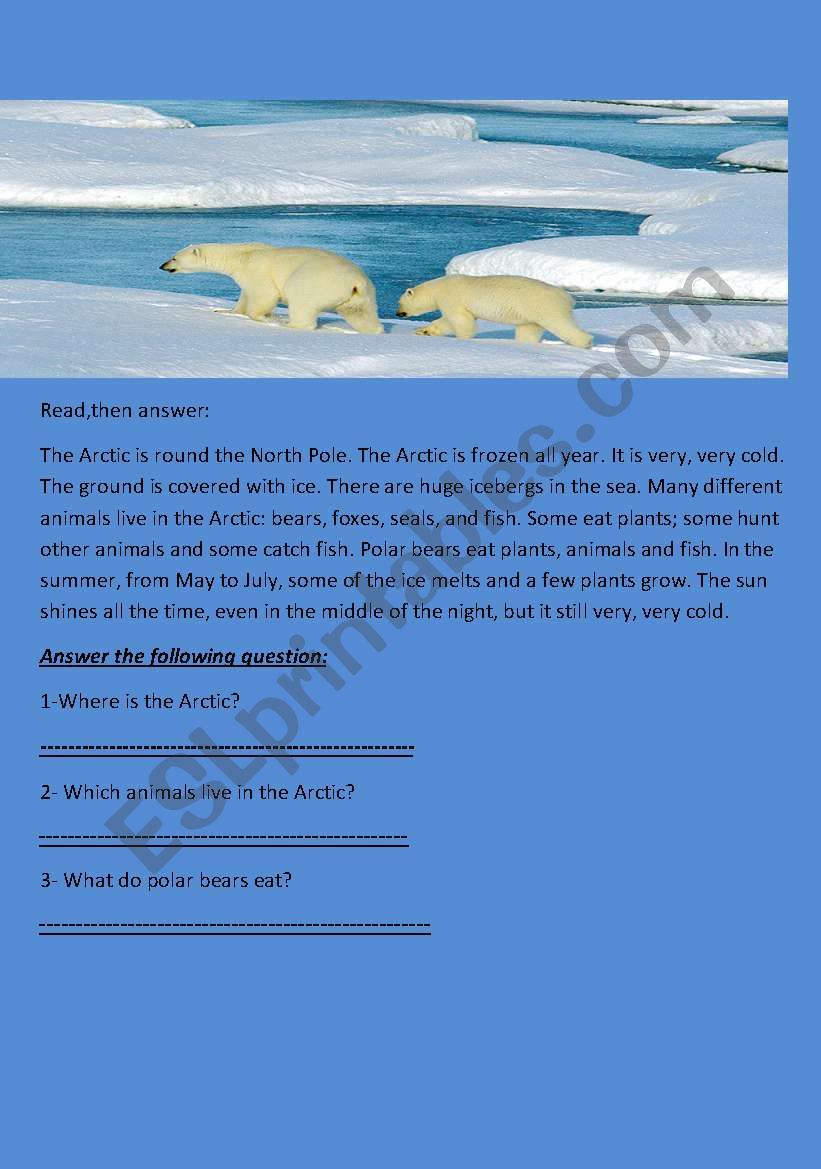 The Arctic worksheet