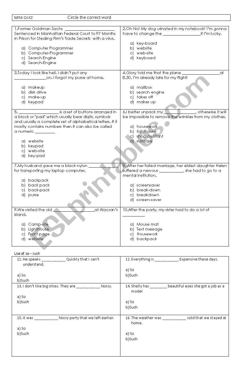 Mini Quiz worksheet