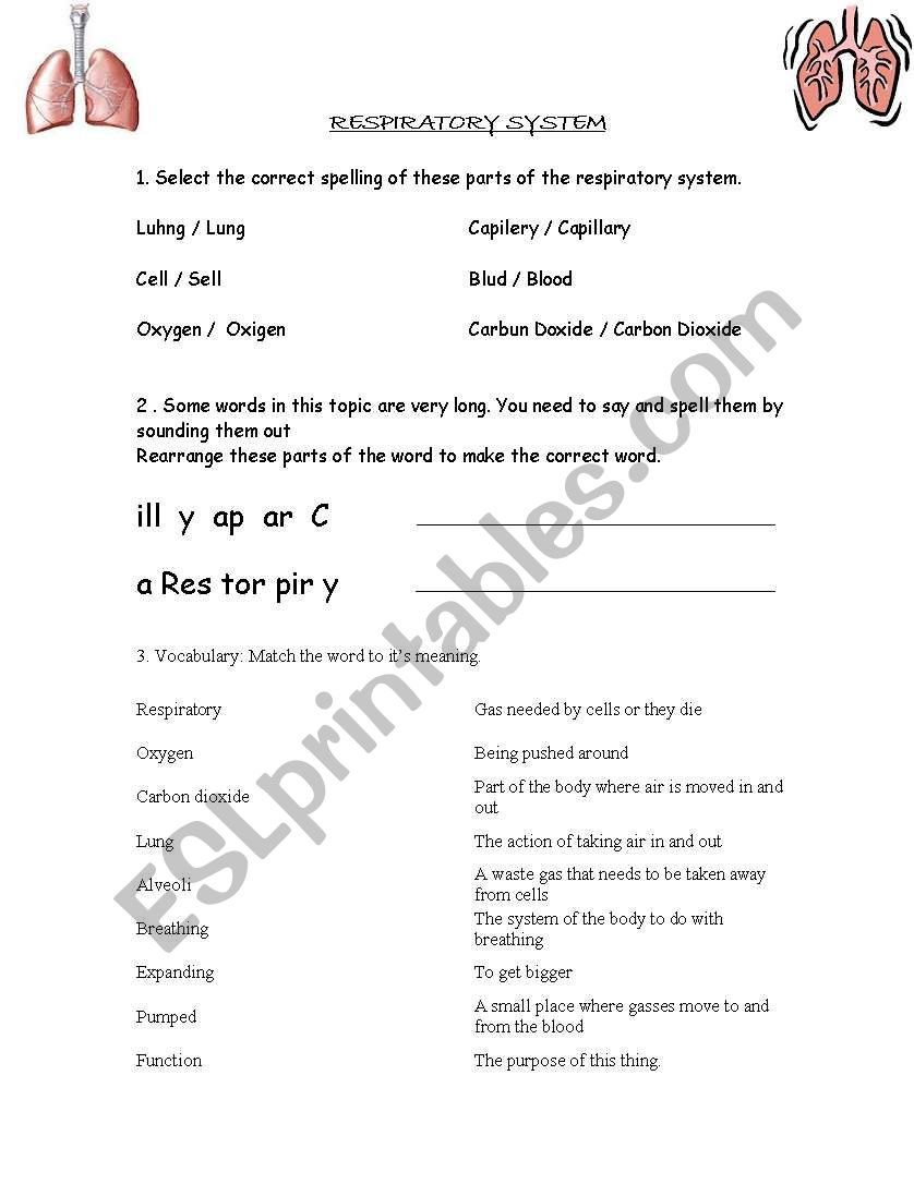 Respiration Literacy worksheet