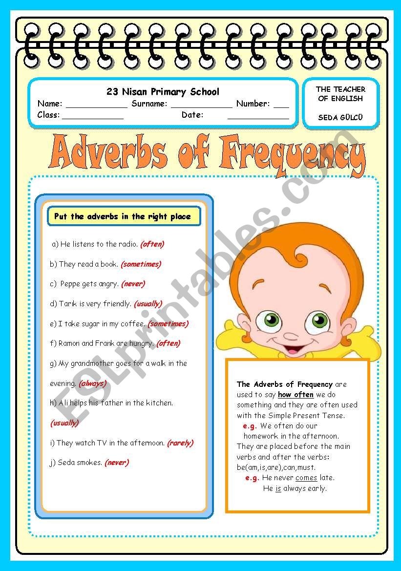 adverbs of frequency worksheet