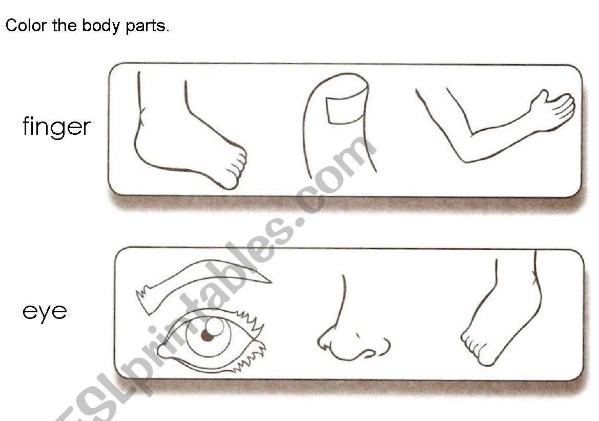 Body Parts worksheet