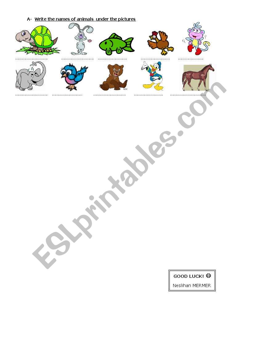 animals worksheet