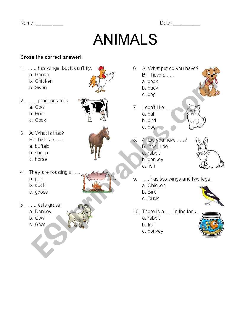 English worksheets: Animal Around Us English worksheets: Animal Around Us