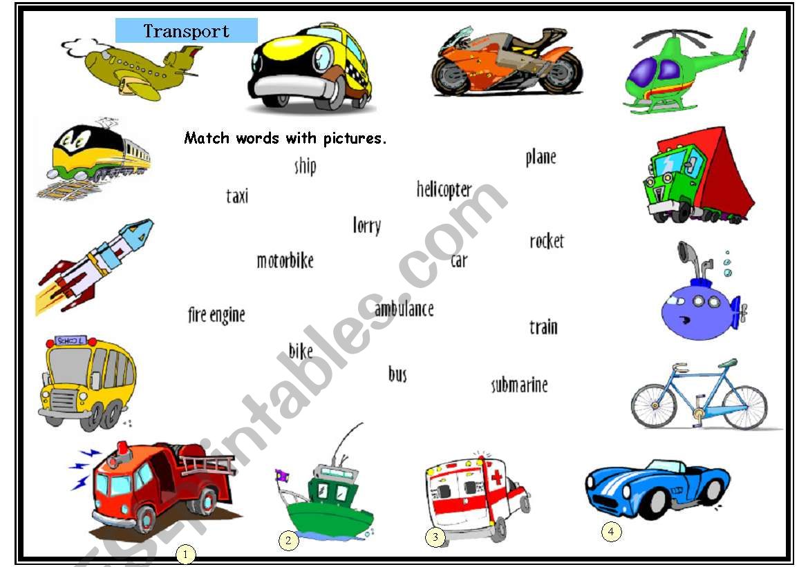 Transport worksheet