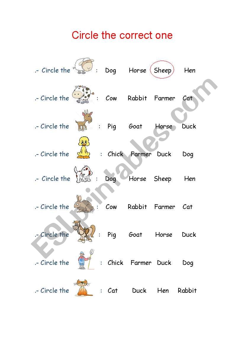 Circle the Correct One worksheet