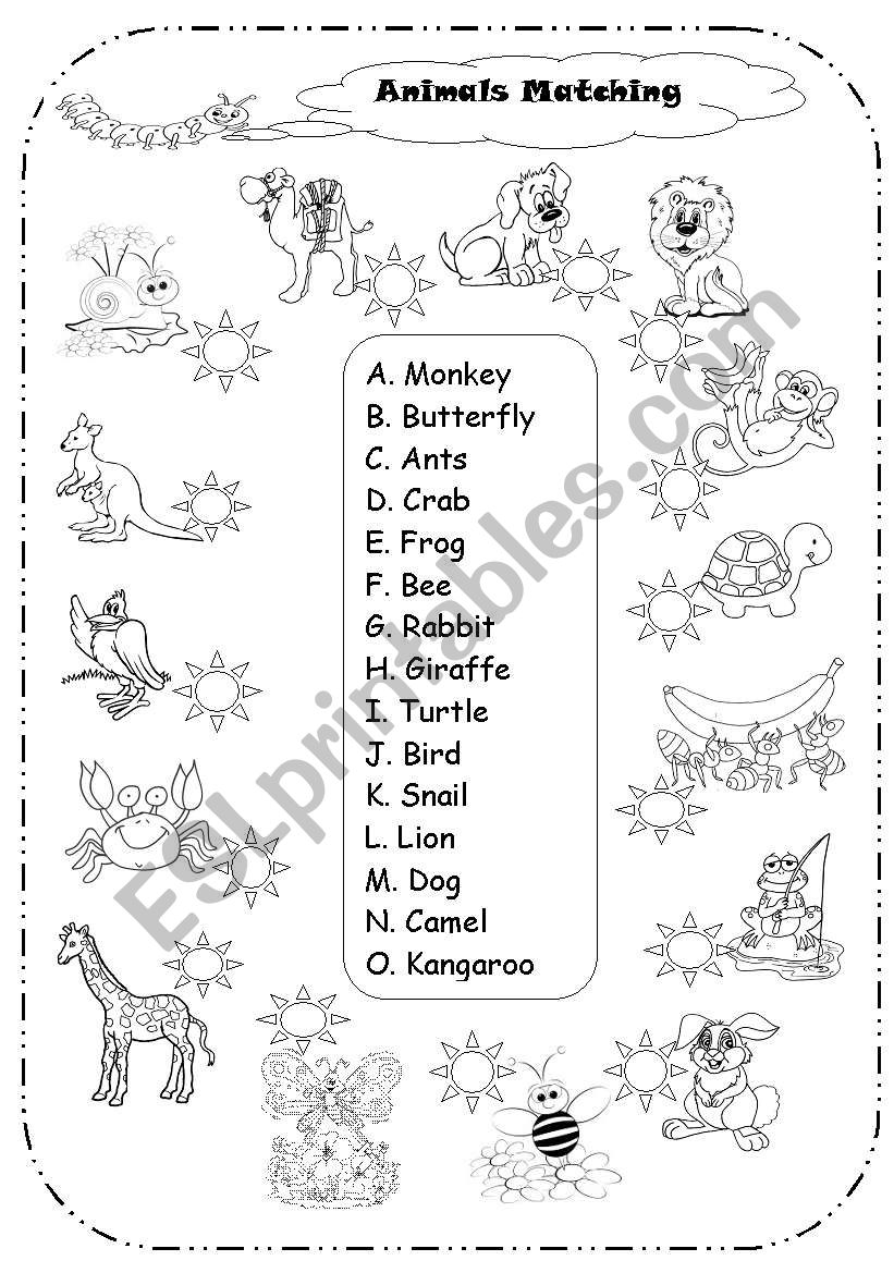 animal matching worksheet
